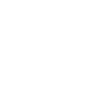 SkyBlue Insurance logo – More options. Better choices.